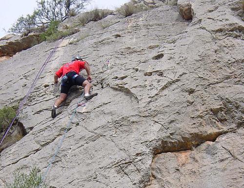 Huéspedes de El Repòs del Montsec