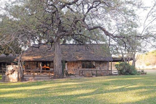a log cabin with a tree in front of it at Moholoholo Ya Mati in Kampersrus AH