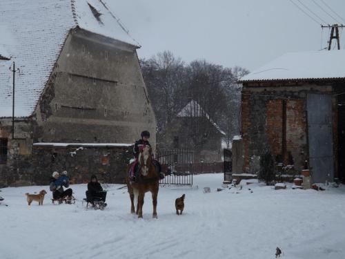 a person riding a horse in the snow with dogs at Studniska Country Estate in Studniska