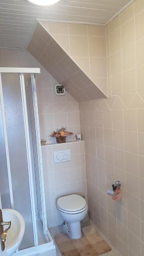 Koupelna v ubytování Apartma Ravbar