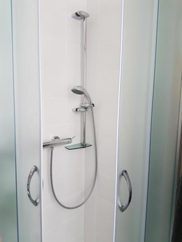 een douche in een badkamer met een glazen deur bij Nigritella in Kranjska Gora