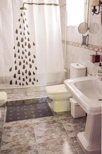 a bathroom with a toilet and a shower curtain at Heliópolis I in Seville