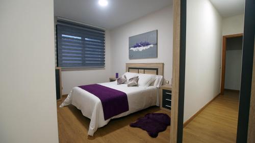 托萊多的住宿－Apartamento con garaje, El barco，一间卧室设有一张床和一个大窗户