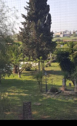 a park with trees and a field of grass at Casina Romita in Lequile