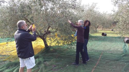 two people are standing next to an apple tree at Casina Romita in Lequile