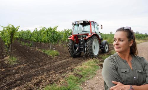 a woman standing in a field with a tractor at Gästehaus Ringbauer in Podersdorf am See