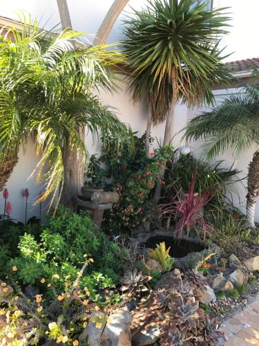a garden in front of a house with palm trees at Bay Breeze Guesthouse Selfcatering in Gordonʼs Bay