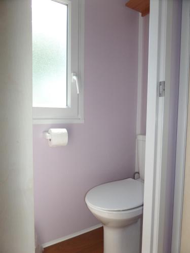 a white bathroom with a toilet and a window at Altogold Swiss Holidays At Manor Farm 5* in Interlaken