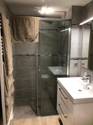 La salle de bains est pourvue d'une douche et d'un lavabo. dans l'établissement Tout schuss, à Saint-Étienne-de-Tinée