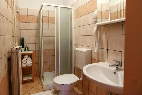een badkamer met een douche, een toilet en een wastafel bij Guesthouse Risnik in Divača