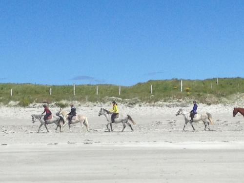 a group of people riding horses on the beach at Beachcomber Cottages in Ballyconneely