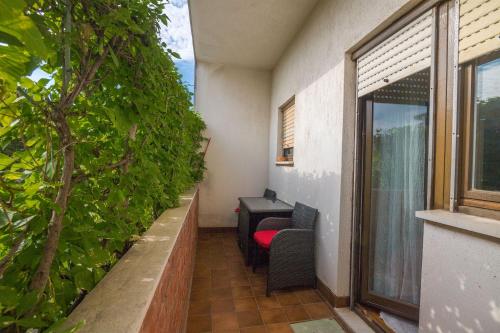 Apartments Ante