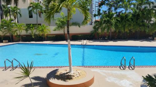 un palmier installé à côté d'une piscine dans l'établissement Cond. St. Tropez, à San Juan