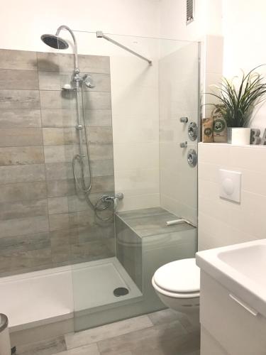 a bathroom with a glass shower with a toilet at Ferienwohnung Woodlook in Bad Sachsa