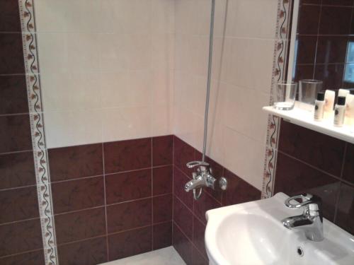 Ένα μπάνιο στο Aleks Guest House