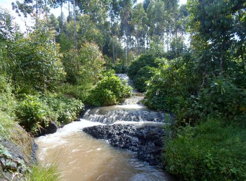 a stream of water with rocks and trees at SALEM Eco-Lodge & Guesthouse in Mbale