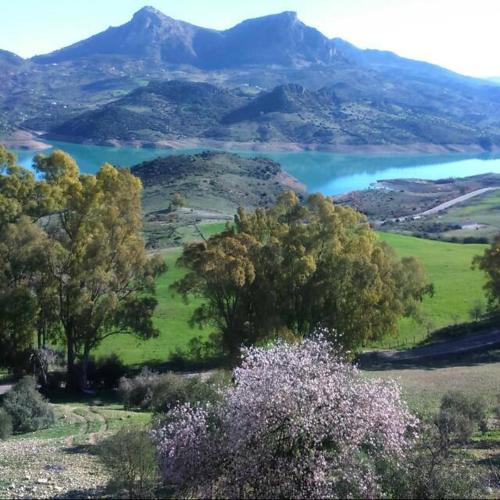 a view of a field with trees and a lake at El Rinconcito in Zahara de la Sierra