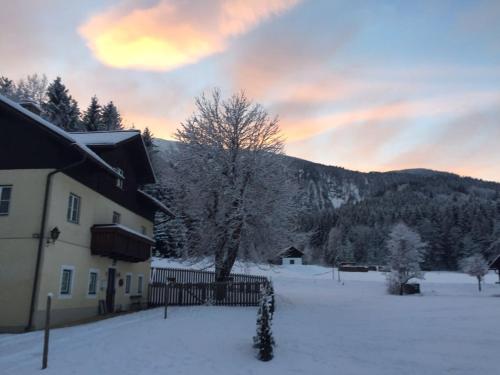 ein Haus auf einem schneebedeckten Hof mit einem Baum in der Unterkunft Ferienwohnung Ötscherwiese in Lackenhof