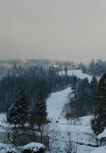 a group of people skiing down a snow covered slope at Mała Osada domki z jacuzzi przy gondoli in Szczyrk
