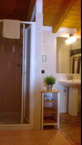 a bathroom with a shower and a sink at La Piana Dei Castagni in Castel dʼAiano