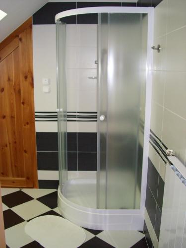 La salle de bains est pourvue d'une douche en verre et d'un sol en damier. dans l'établissement Anonim apartman, à Villány