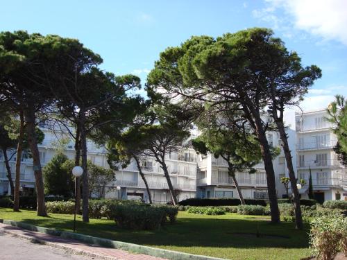 a row of trees in front of a building at Apartamento junto a la playa by Hugo Beach in Gandía