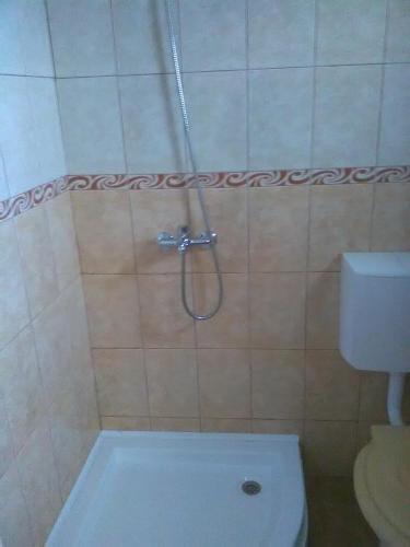 a shower in a bathroom with a toilet at Casa cu Muscate in Cîmpeni