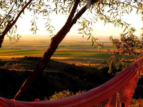 a hammock hanging from a tree with a view at Estancia Altos del Durazno in Estancia Grande