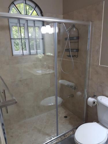 a bathroom with a shower and a toilet at Skycastle Oasis in Ocho Rios
