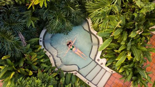 
a painting of a tree in the shape of a surfboard at Casa Luna Hotel & Spa in Fortuna
