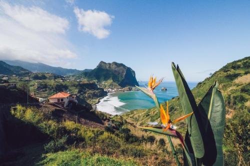 a view of the beach from a hill with a flower at Hotel Vila Bela in Porto da Cruz