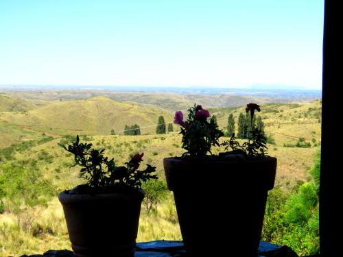 two potted plants sitting on a window sill with a view at Estancia Altos del Durazno in Estancia Grande