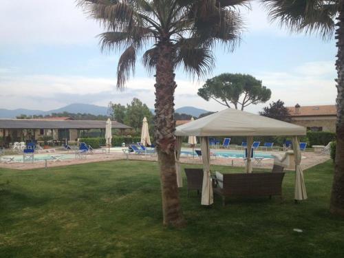 a palm tree with a white umbrella next to a pool at Agriturismo Cannavota in Follonica
