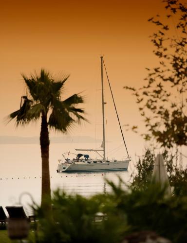 a sail boat on the water with a palm tree at Ortunc Hotel - Cunda Island (Adult Only) in Ayvalık