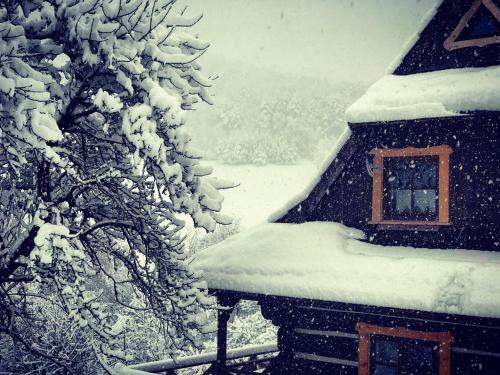 a house covered in snow next to a tree at Maciejewka in Zahoczewie