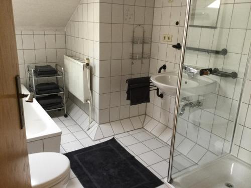 a bathroom with a shower and a toilet and a sink at Haus am Waldrand in Birkenhördt