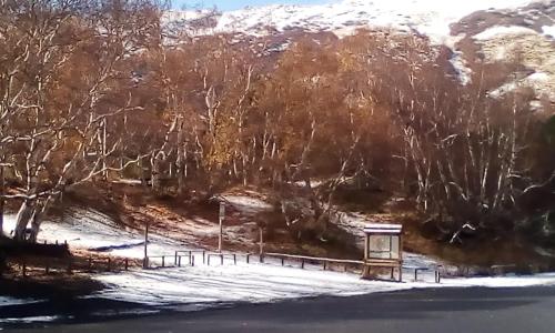 a snow covered field with trees and a fence at Casa delle Aci in Acireale