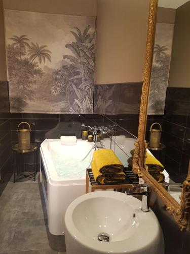 a bathroom with a tub and a sink and a mirror at La Gourgasse Vieille in Béziers