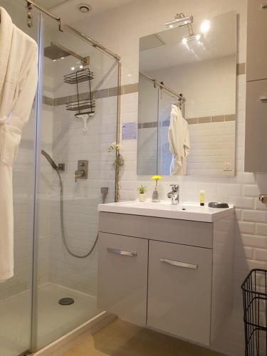 ein Bad mit einem Waschbecken und einer Dusche in der Unterkunft Riverside Toulouse (Harmony) in Toulouse