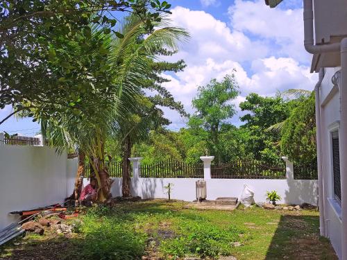 a palm tree in a yard next to a white fence at Sofias House Rental in Tagbilaran City