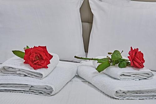 zwei Rosen liegen auf Handtüchern auf dem Bett in der Unterkunft Element Hotel in Elafonisos