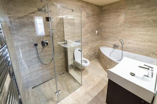 a bathroom with a shower and a toilet and a sink at Hotel Zebetinsky Dvur Brno in Brno