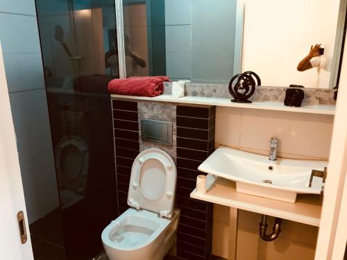ein Badezimmer mit Toilette und Waschbecken in der Unterkunft Luxury Apartments in Midrakh ‘Oz