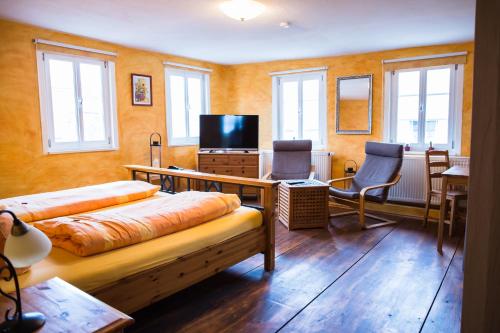 TV a/nebo společenská místnost v ubytování Landhotel im Hexenwinkel