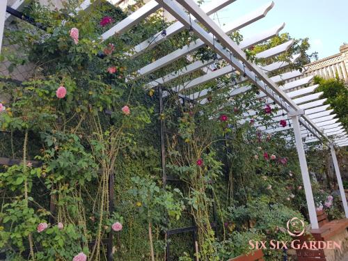 a white pergola with roses in a garden at Six Six Garden in Da Lat
