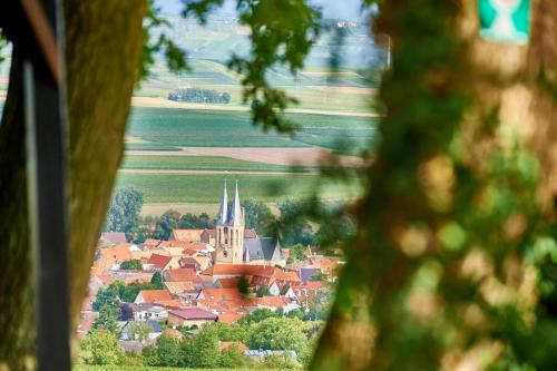 a small town with a church in the distance at Dohlmühle Hotel & Weingut in Flonheim