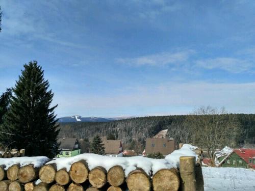 a group of logs in the snow at Ferienwohnung Rathke in Sorge