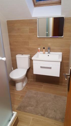 a bathroom with a toilet and a sink and a mirror at Penzion Richnava in Štiavnické Bane