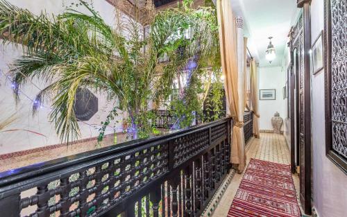 a hallway with a black fence and plants on the wall at Hotel & Ryad Art Place Marrakech in Marrakech