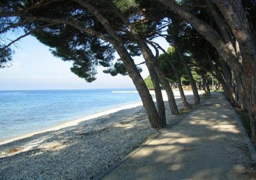 a tree lined path next to a beach with the ocean at Apartment Amfora on the ground floor in Fažana